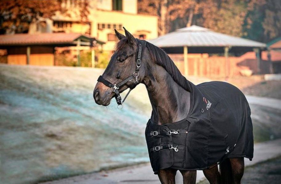 Opnå en effektiv fodring med fodervogne fra Bulldog Agri
