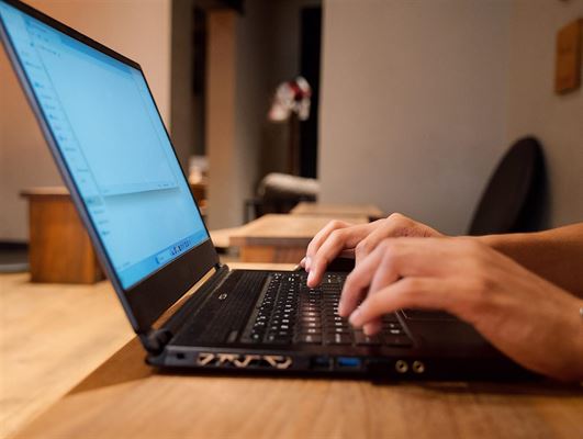 Nå ud til lokalområdet med en netavis