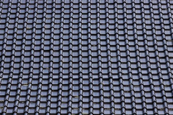 Hvor meget koster et nyt tag?