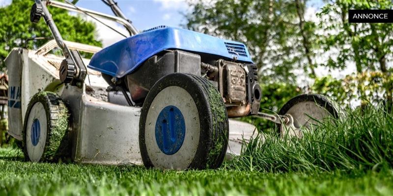 Valg af den bedste plæneklipper til din have